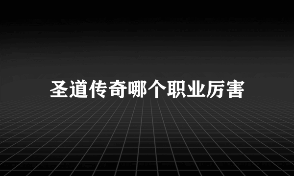 圣道传奇哪个职业厉害