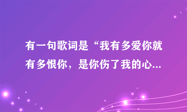 有一句歌词是“我有多爱你就有多恨你，是你伤了我的心”这首歌的歌名是什么？急！！！