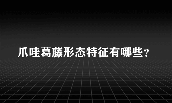 爪哇葛藤形态特征有哪些？