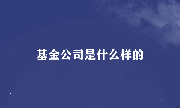 基金公司是什么样的
