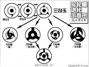 写轮眼的进化过程
