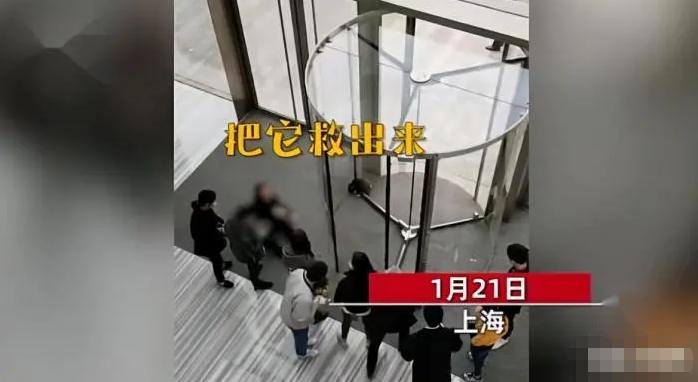 宠物狗被卡旋转门女子倒地哭喊，女子的行为你怎么看？