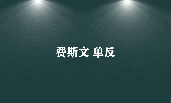 费斯文 单反