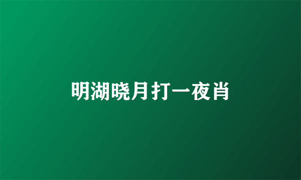 明湖晓月打一夜肖