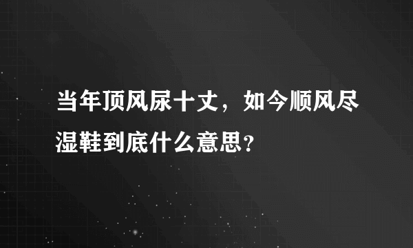 当年顶风尿十丈，如今顺风尽湿鞋到底什么意思？