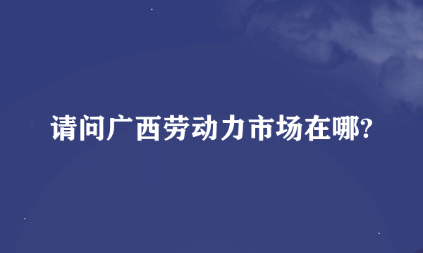 请问广西劳动力市场在哪?