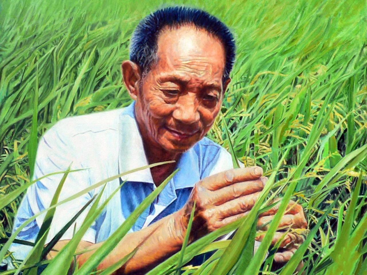 袁隆平差点当空军？为何后来成了杂交水稻之父？