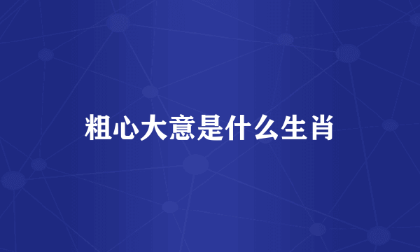 粗心大意是什么生肖