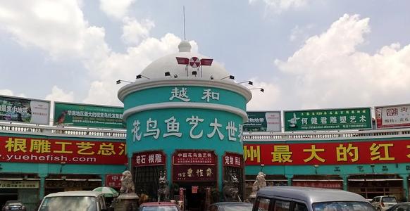 广州哪有宠物市场？我想买只宠物狗