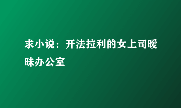 求小说：开法拉利的女上司暧昧办公室