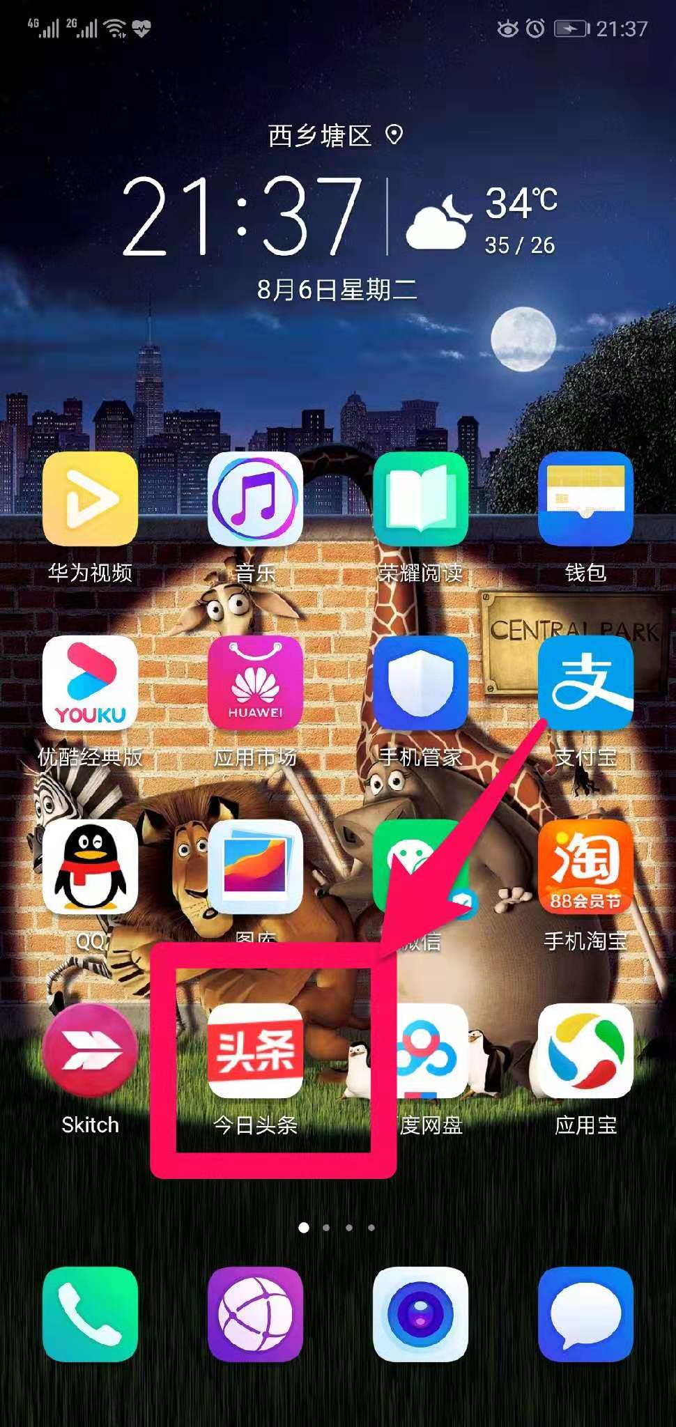 怎么把视频下载到手机上