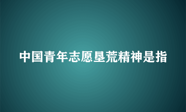 中国青年志愿垦荒精神是指