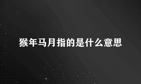猴年马月指的是什么意思