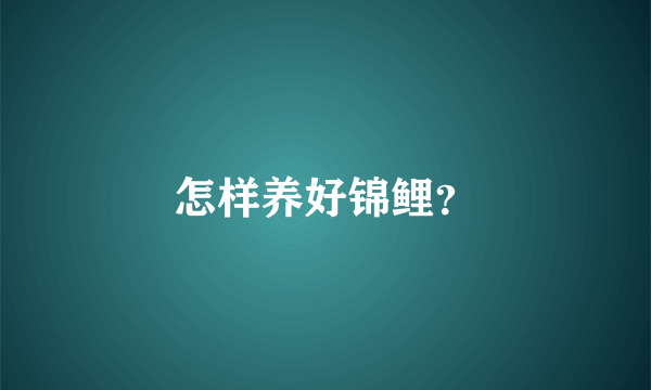 怎样养好锦鲤？
