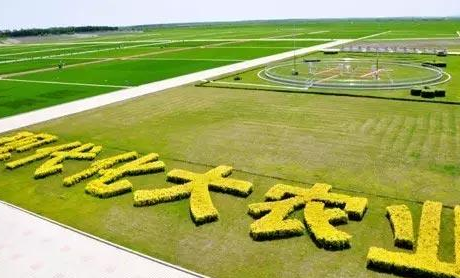 关于80后中学教师辞职回乡当农民一事，你有何看法？