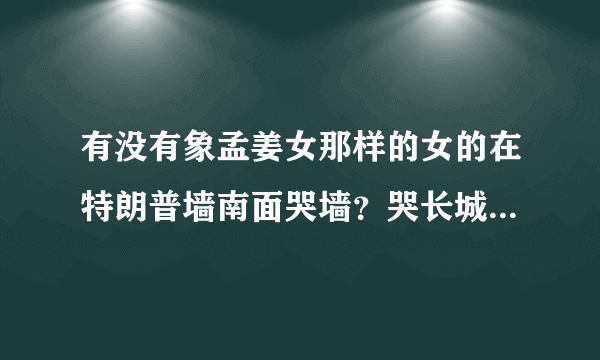 有没有象孟姜女那样的女的在特朗普墙南面哭墙？哭长城嘛，把长城哭倒啦，一家人成功进入美国才有风趣。