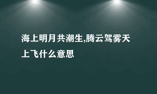 海上明月共潮生,腾云驾雾天上飞什么意思