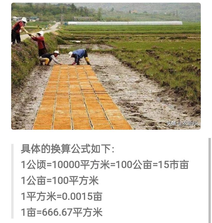 一亩地是多少平方米？