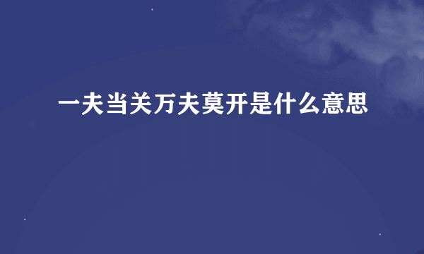一夫当关万夫莫开是什么意思