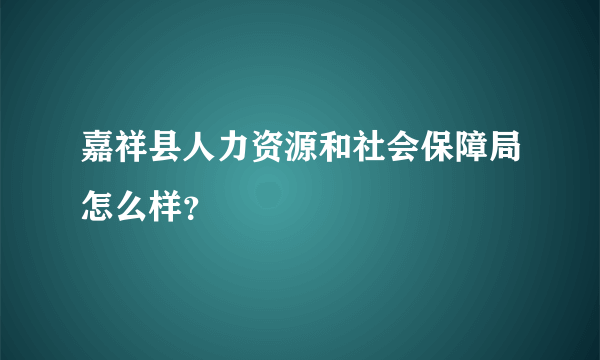 嘉祥县人力资源和社会保障局怎么样？