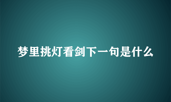 梦里挑灯看剑下一句是什么
