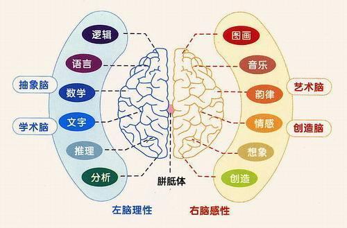 数学启蒙对孩子到底有多重要