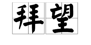 “拜访”的近义词是什么？
