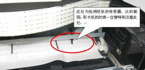 打印机卡纸了怎么办