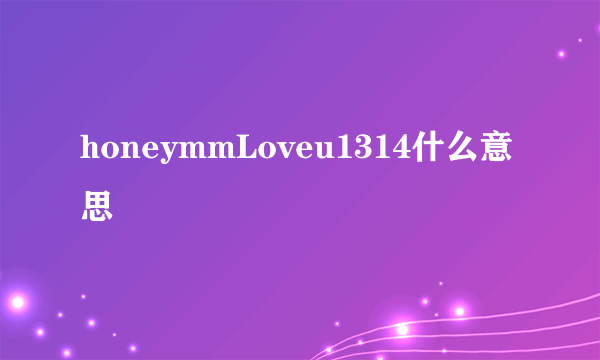 honeymmLoveu1314什么意思