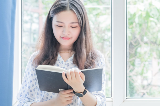 theme是什么意思