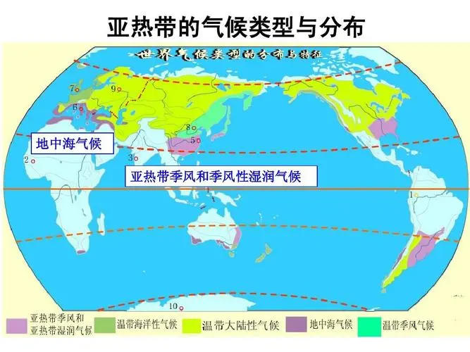 上海属于什么气候类型?