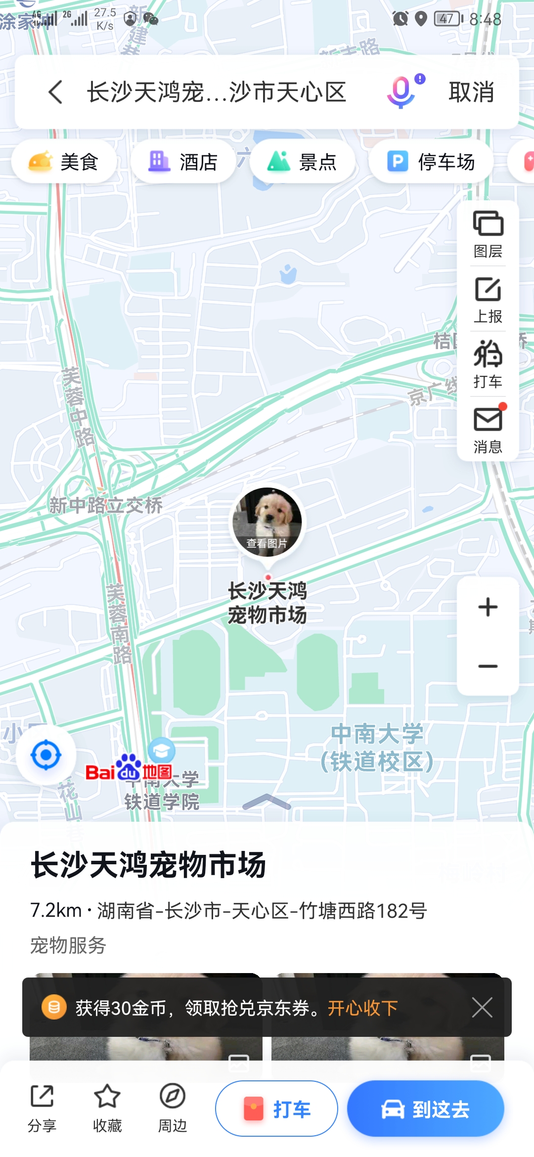 长沙宠物市场有哪些？