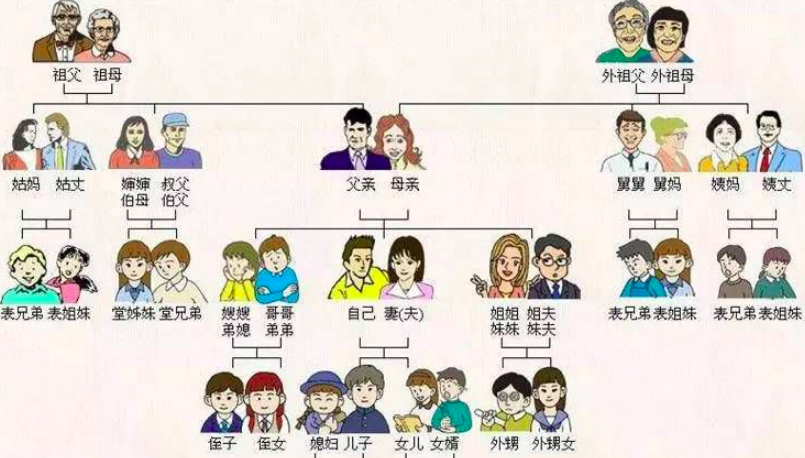 称呼语是什么