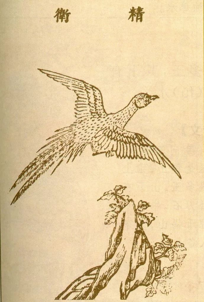 《山海经》中都有哪些神话故事？