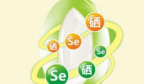 SE是什么意思
