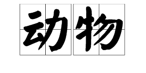 “动物”的拼音是什么？
