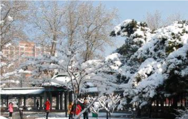 关于描写雪景的诗句100句