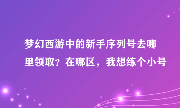 梦幻西游中的新手序列号去哪里领取？在哪区，我想练个小号