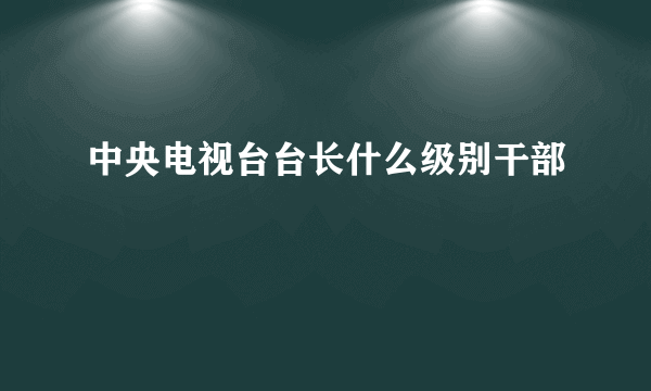中央电视台台长什么级别干部