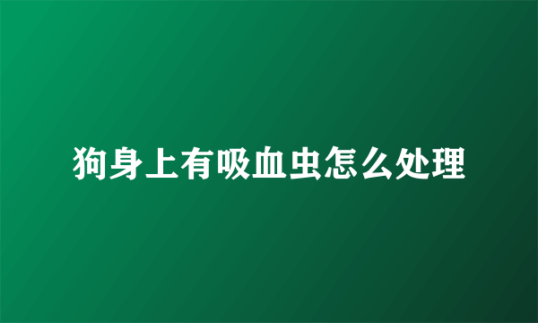 狗身上有吸血虫怎么处理