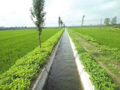 水利设施投5700万元3年不通电，为何成为了样子货？
