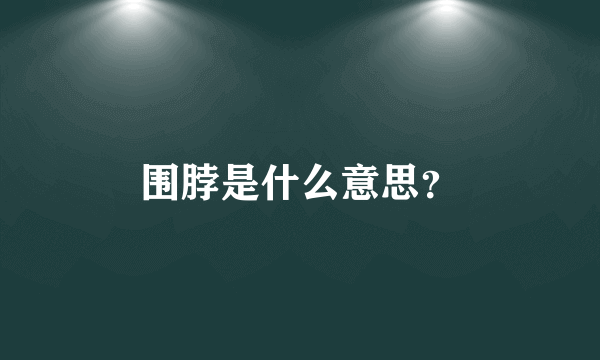 围脖是什么意思？