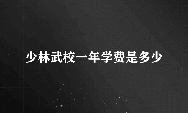 少林武校一年学费是多少
