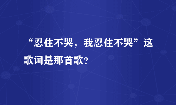 “忍住不哭，我忍住不哭”这歌词是那首歌？