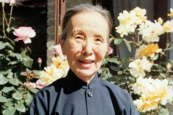 冰心是一个什么家？
