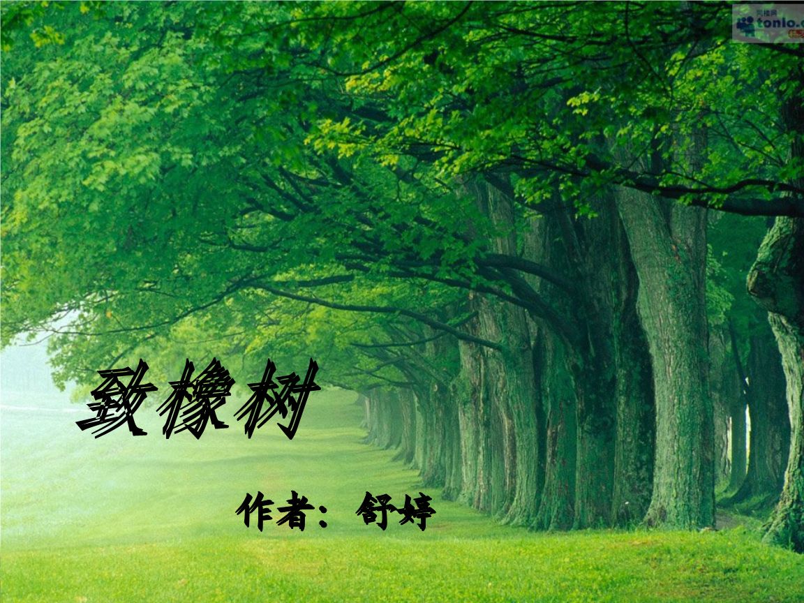 《致橡树》原文