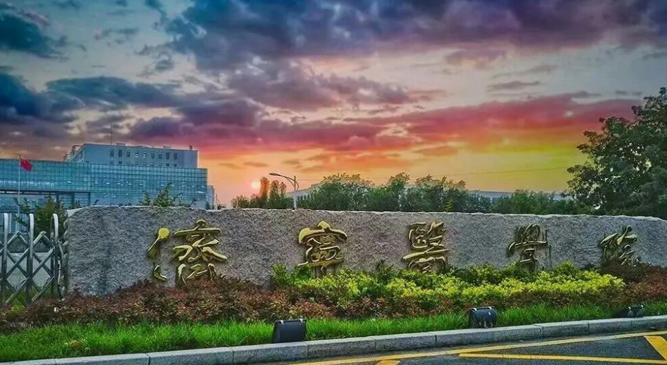 日照有哪几所大学