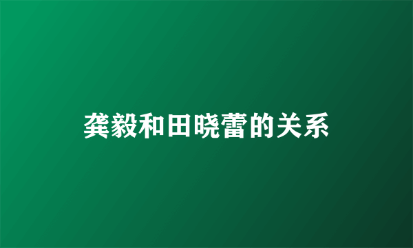 龚毅和田晓蕾的关系