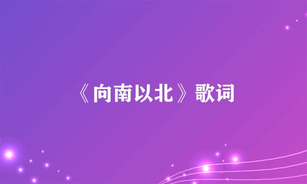 《向南以北》歌词