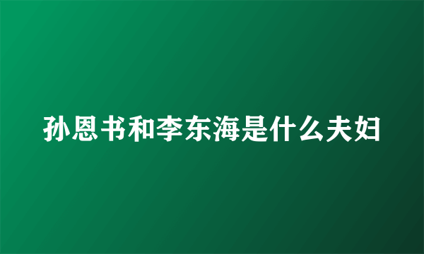 孙恩书和李东海是什么夫妇